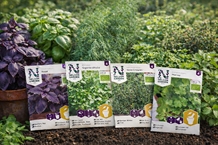 Krydderurtepakken - økologiske frø